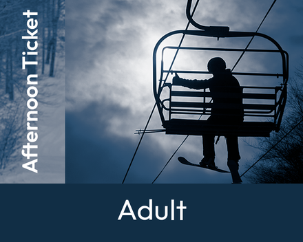 Adult Afternoon (19-64)