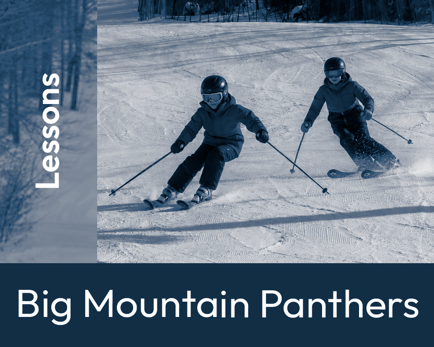 NEW! Big Mountain Panthers